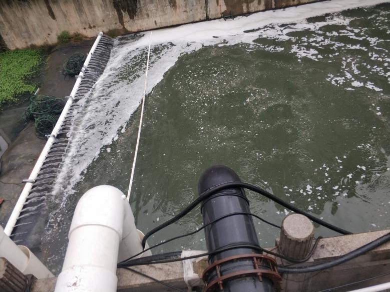 Casos de monitoreo de Ningde de prueba de agua de río negro y maloliente